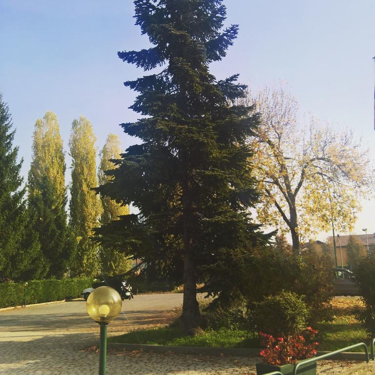 Hotel Romanisio Fossano Bagian luar foto